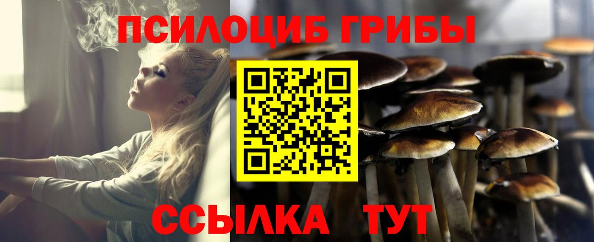 Галлюциногенные грибы MAGIC MUSHROOMS Домодедово